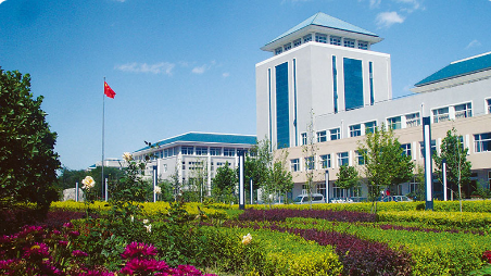 1672027391289887.png image.png