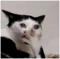 1680766100168925.png image.png